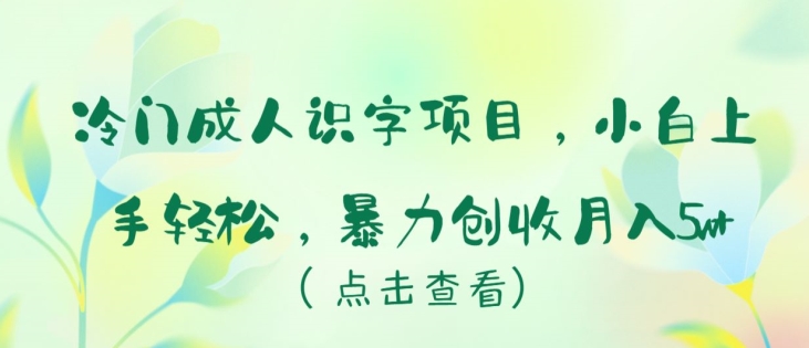 冷门成人识字项目,小白上手轻松,暴力创收月入5w+【揭秘】-第一资源库