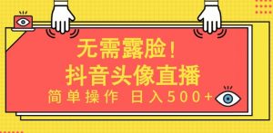 无需露脸，Ai头像直播项目，简单操作日入500+【揭秘】-第一资源库