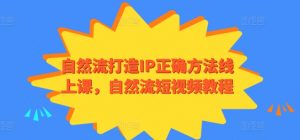 自然流打造IP正确方法线上课，自然流短视频教程-第一资源库