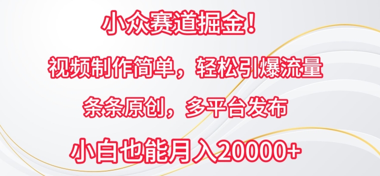 小众赛道掘金,视频制作简单,轻松引爆流量,条条原创,多平台发布【揭秘】-第一资源库