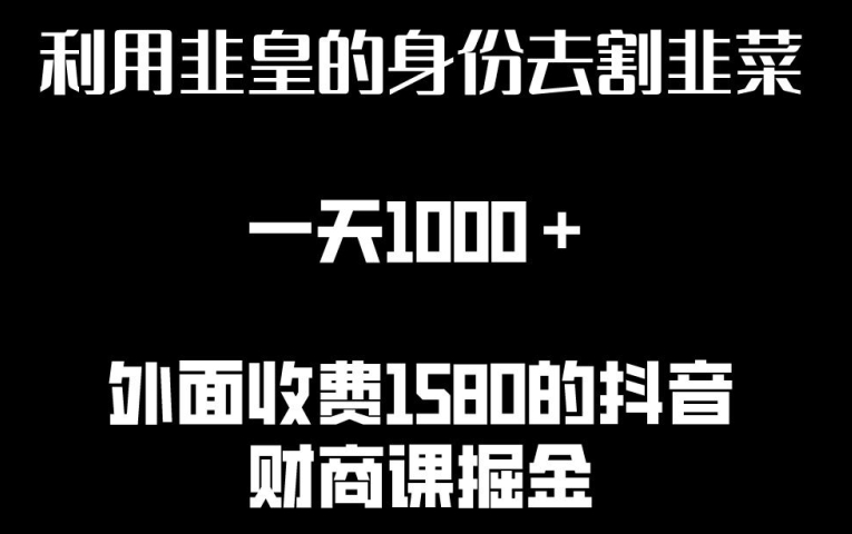 利用非皇的身份去割韭菜,一天1000+(附详细资源)【揭秘】-第一资源库