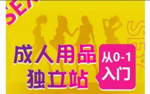 成人用品独立站从0-1入门，成品独立站运营全流程教学，七大好卖成品独立站推荐-第一资源库
