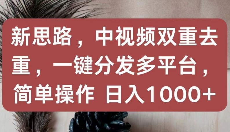 新思路,中视频双重去重,一键分发多平台,简单操作,日入1000+【揭秘】-第一资源库