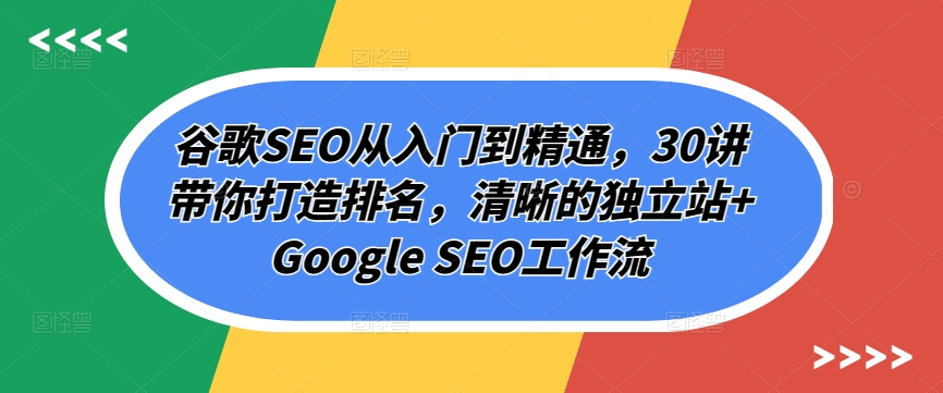 谷歌SEO从入门到精通,30讲带你打造排名,清晰的独立站+Google SEO工作流-第一资源库