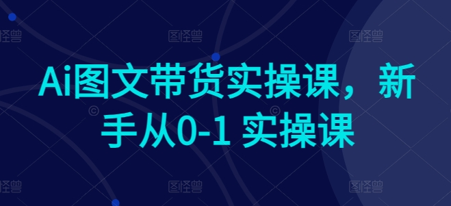 Ai图文带货实操课,新手从0-1 实操课-第一资源库