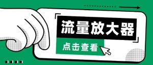 流量放大器,抖音公私域变现+soul私域轰炸器【揭秘】-第一资源库