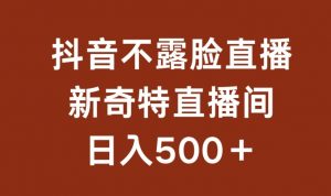 不露脸挂机直播，新奇特直播间，日入500+【揭秘】-第一资源库