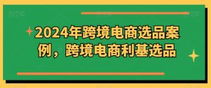 2024年跨境电商选品案例,跨境电商利基选品-第一资源库