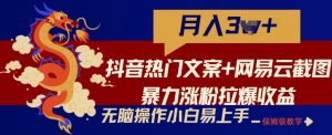 抖音热门文案+网易云截图暴力涨粉拉爆收益玩法，小白无脑操作，简单易上手【揭秘】-第一资源库