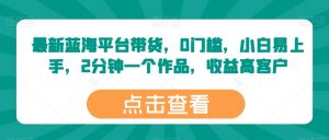 最新蓝海平台带货，0门槛，小白易上手，2分钟一个作品，收益高【揭秘】-第一资源库