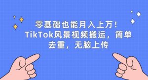 零基础也能月入上w,TikTok风景视频搬运,简单去重,无脑上传【揭秘】-第一资源库
