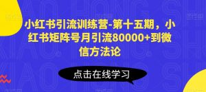 小红书引流训练营-第十五期,小红书矩阵号月引流80000+到微信方法论-第一资源库