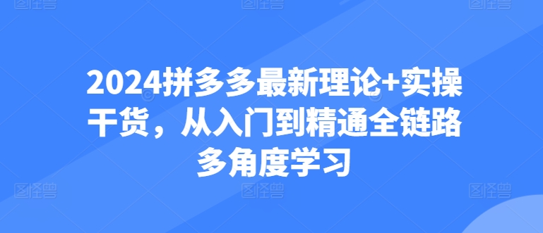 2024拼多多最新理论+实操干货,从入门到精通全链路多角度学习-第一资源库