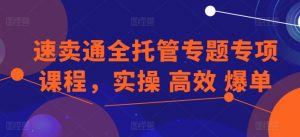 速卖通全托管专题专项课程,实操 高效 爆单-第一资源库