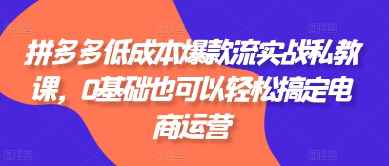 拼多多低成本爆款流实战私教课，0基础也可以轻松搞定电商运营-第一资源库