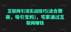 互联网引流实战技巧(适合微商,吸引宝妈),宅家通过互联网赚钱-第一资源库