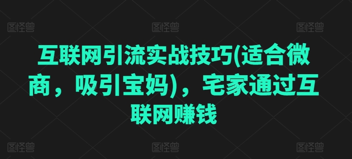 互联网引流实战技巧(适合微商,吸引宝妈),宅家通过互联网赚钱-第一资源库