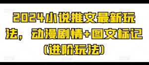 2024小说推文最新玩法，动漫剧情+图文标记(进阶玩法)-第一资源库