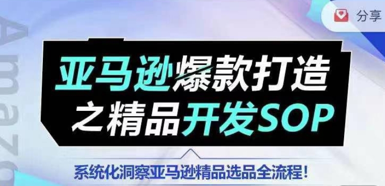 【训练营】亚马逊爆款打造之精品开发SOP,系统化洞察亚马逊精品选品全流程-第一资源库