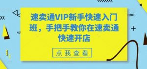 速卖通VIP新手快速入门班,手把手教你在速卖通快速开店-第一资源库