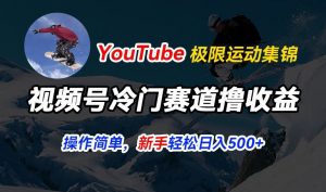 视频号冷门赛道撸收益,YouTube搬运极限运动集锦,暴力起号,操作简单流量高,轻松日入5张【揭秘】-第一资源库