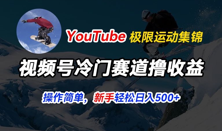 视频号冷门赛道撸收益,YouTube搬运极限运动集锦,暴力起号,操作简单流量高,轻松日入5张【揭秘】-第一资源库