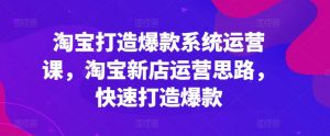 淘宝打造爆款系统运营课,淘宝新店运营思路,快速打造爆款-第一资源库