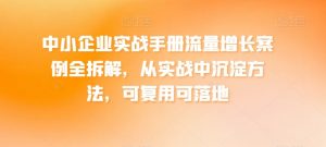 中小企业实战手册流量增长案例全拆解，从实战中沉淀方法，可复用可落地-第一资源库