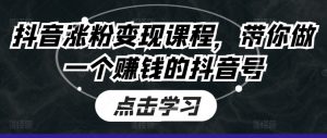 抖音涨粉变现课程,带你做一个赚钱的抖音号-第一资源库