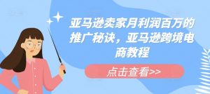 亚马逊卖家月利润百万的推广秘诀,亚马逊跨境电商教程-第一资源库