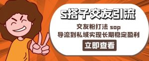 某收费888-S搭子交友引流，交友粉打法 sop，导流到私域实现长期稳定盈利-第一资源库