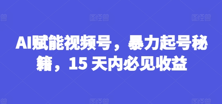 AI赋能视频号，暴力起号秘籍，15 天内必见收益【揭秘】-第一资源库