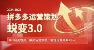 2024-2025拼多多运营策略蜕变3.0,0~1完美蜕变,解决信息焦虑-第一资源库