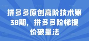 拼多多原创高阶技术第38期,拼多多阶梯提价破量法-第一资源库