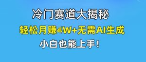 冷门赛道大揭秘，轻松月赚1W+无需AI生成，小白也能上手【揭秘】-第一资源库