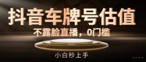 抖音车牌号估值,不露脸直播,0门槛,小白秒上手【揭秘】-第一资源库