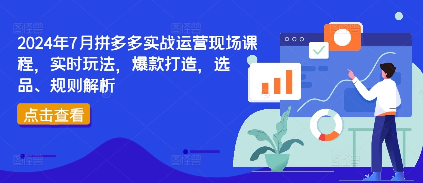 2024年7月拼多多实战运营现场课程,实时玩法,爆款打造,选品、规则解析-第一资源库