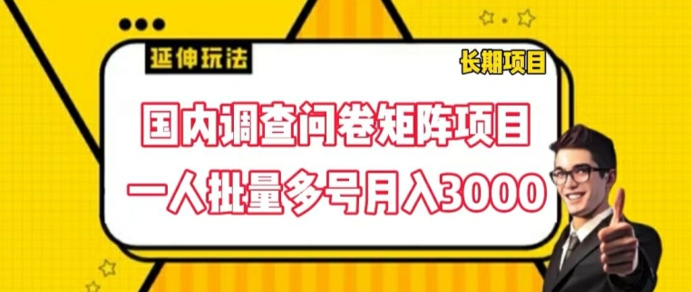 国内调查问卷矩阵项目,一人批量多号月入3000【揭秘】-第一资源库