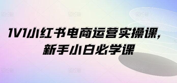 1V1小红书电商运营实操课,新手小白必学课-第一资源库