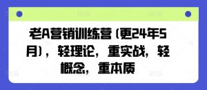 老A营销训练营(更24年6月),轻理论,重实战,轻概念,重本质-第一资源库