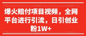 爆火赔付项目视频，全网平台进行引流，日引创业粉1W+【揭秘】-第一资源库