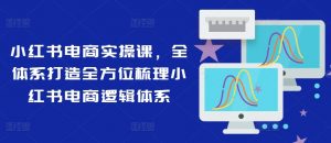 小红书电商实操课，全体系打造全方位梳理小红书电商逻辑体系-第一资源库