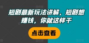 短剧最新玩法讲解，短剧想赚钱，你就这样干-第一资源库