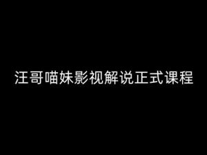 汪哥影视解说正式课程:剪映/PR教学/视解说剪辑5大黄金法则/全流程剪辑7把利器等等-第一资源库