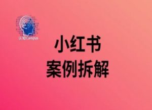 小红书案例拆解，深度解读小红书40万粉-第一资源库