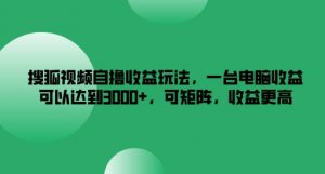 搜狐视频自撸收益玩法，一台电脑收益可以达到3k+，可矩阵，收益更高【揭秘】-第一资源库