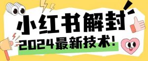 2024最新小红书账号封禁解封方法,无限释放手机号【揭秘】-第一资源库
