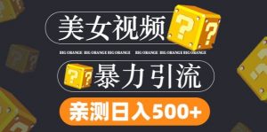 搬运tk美女视频全网分发，日引s粉300+，轻松变现，不限流量不封号【揭秘】-第一资源库
