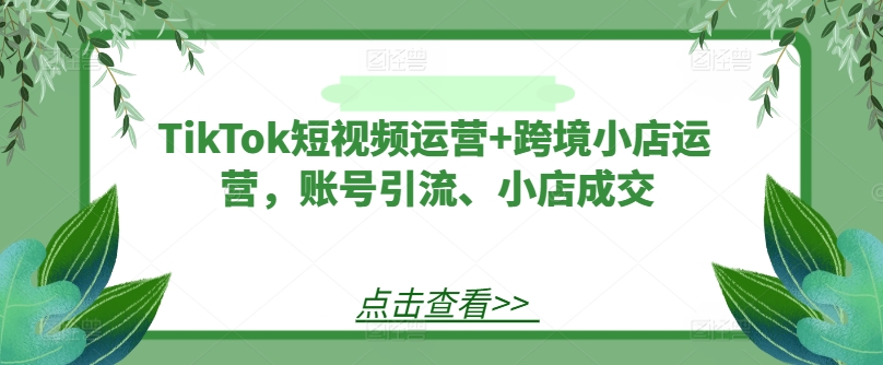 TikTok短视频运营+跨境小店运营，账号引流、小店成交-第一资源库