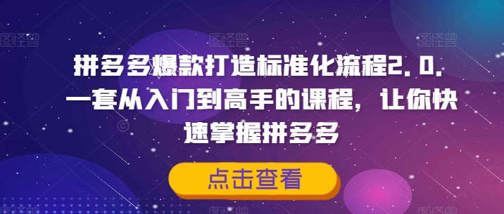 拼多多爆款打造标准化流程2.0,一套从入门到高手的课程,让你快速掌握拼多多-第一资源库